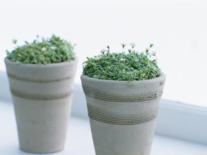 ハンドメイド家具をたのしもう。